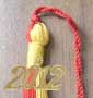 Graduation Tassel with Year Tag